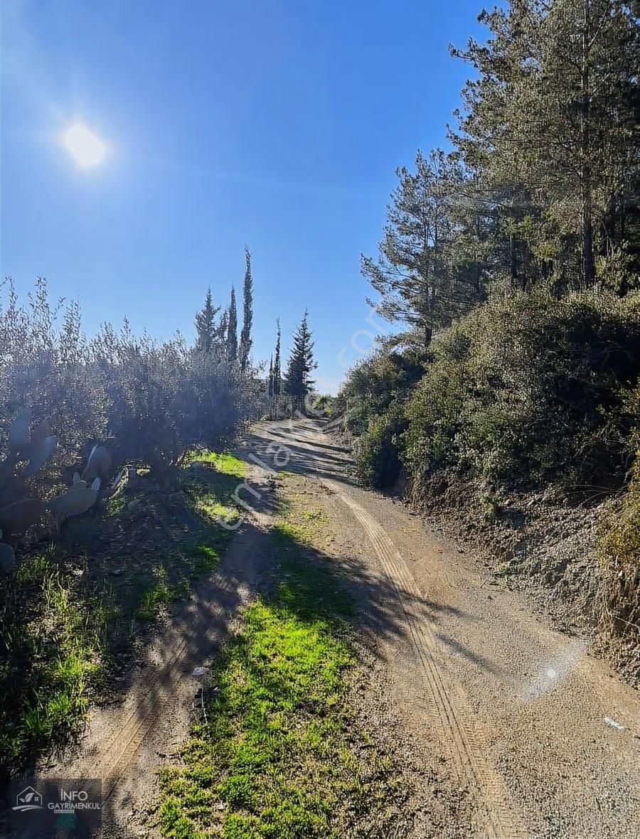 İnfo Gayrimenkul'den Satılık Tarla - Görsel 11