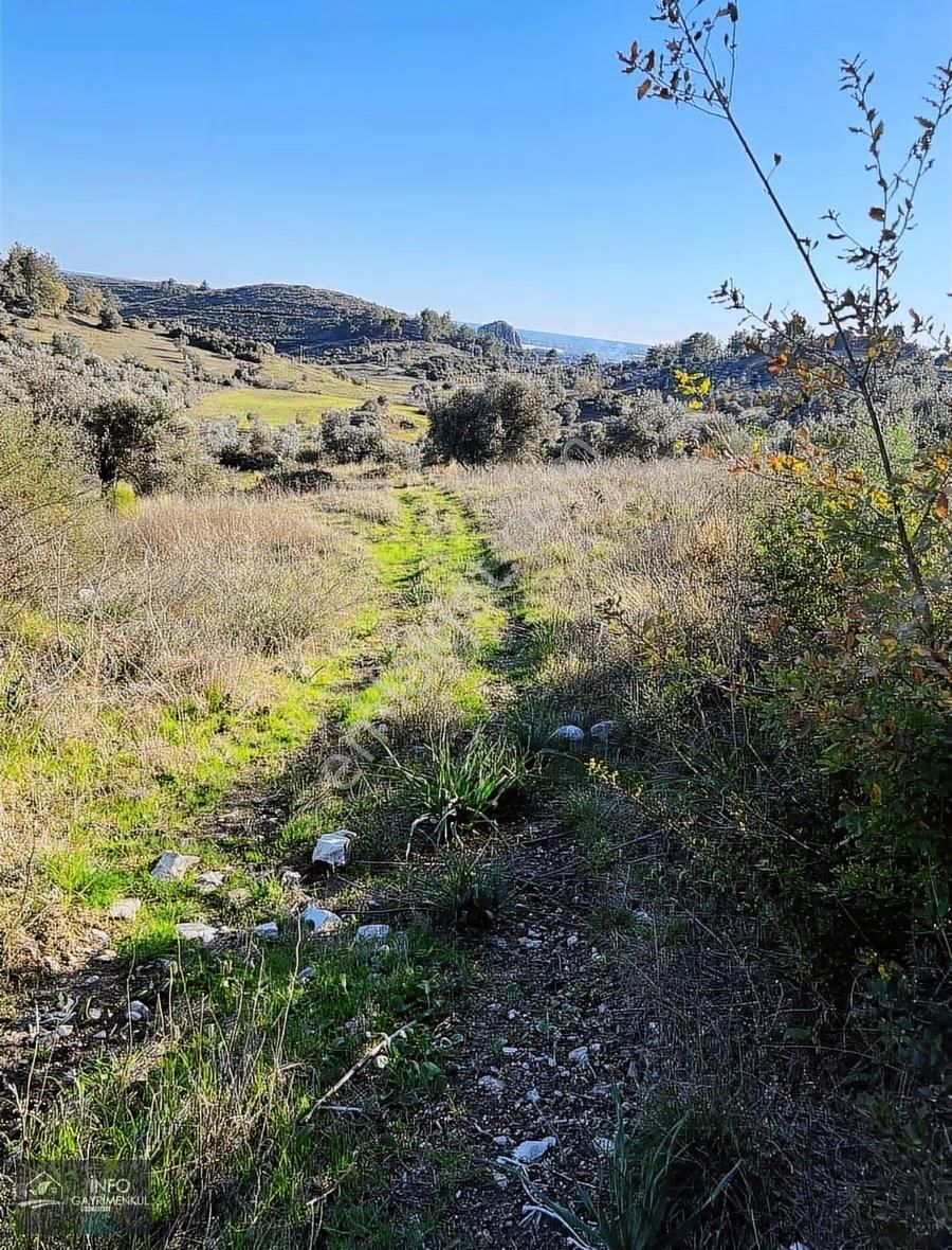 İnfo Gayrimenkul'den Satılık Tarla - Görsel 8