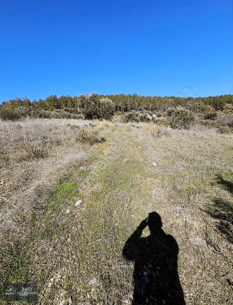 İnfo Gayrimenkul'den Satılık Tarla - Görsel 16