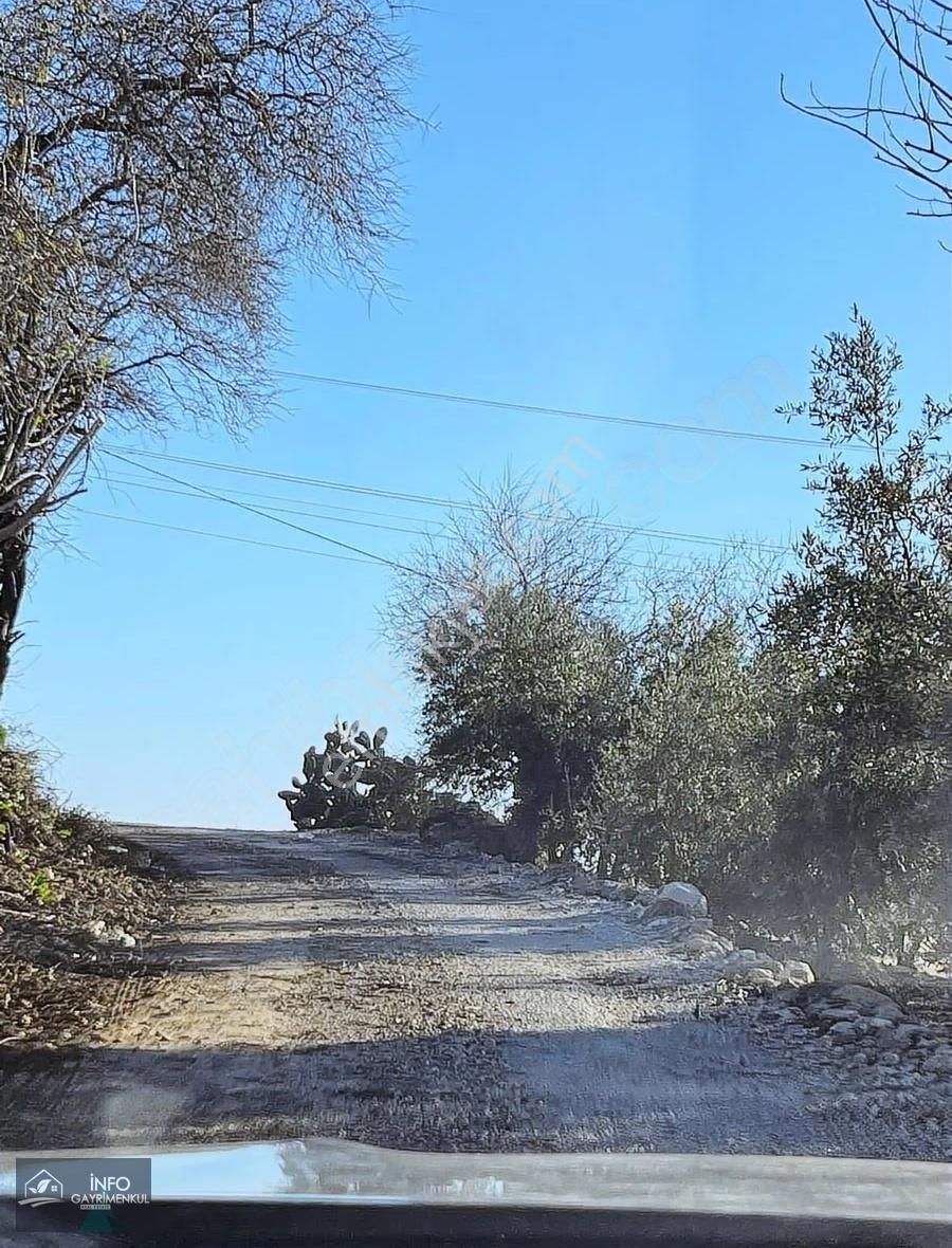 İnfo Gayrimenkul'den Satılık Tarla - Görsel 3