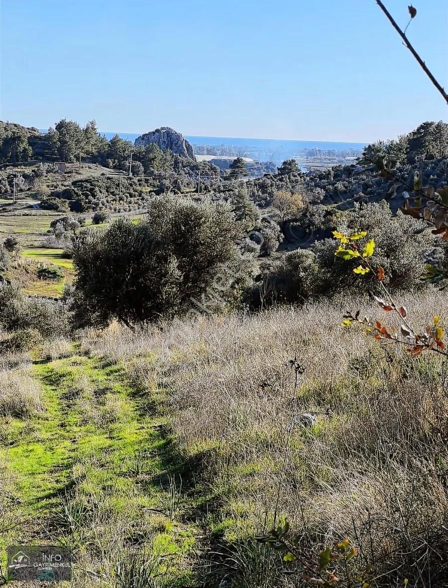 İnfo Gayrimenkul'den Satılık Tarla - Görsel 12