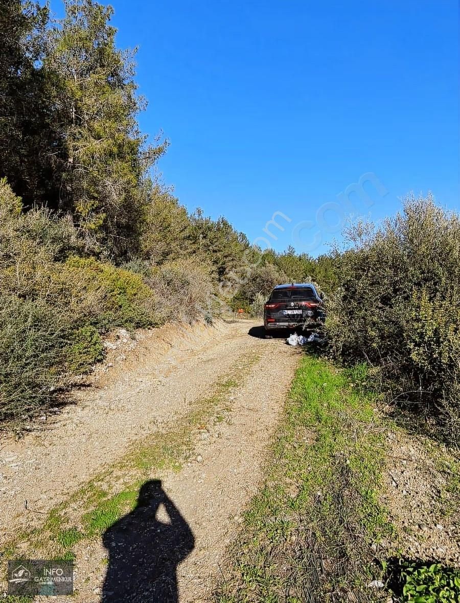 İnfo Gayrimenkul'den Satılık Tarla - Görsel 15