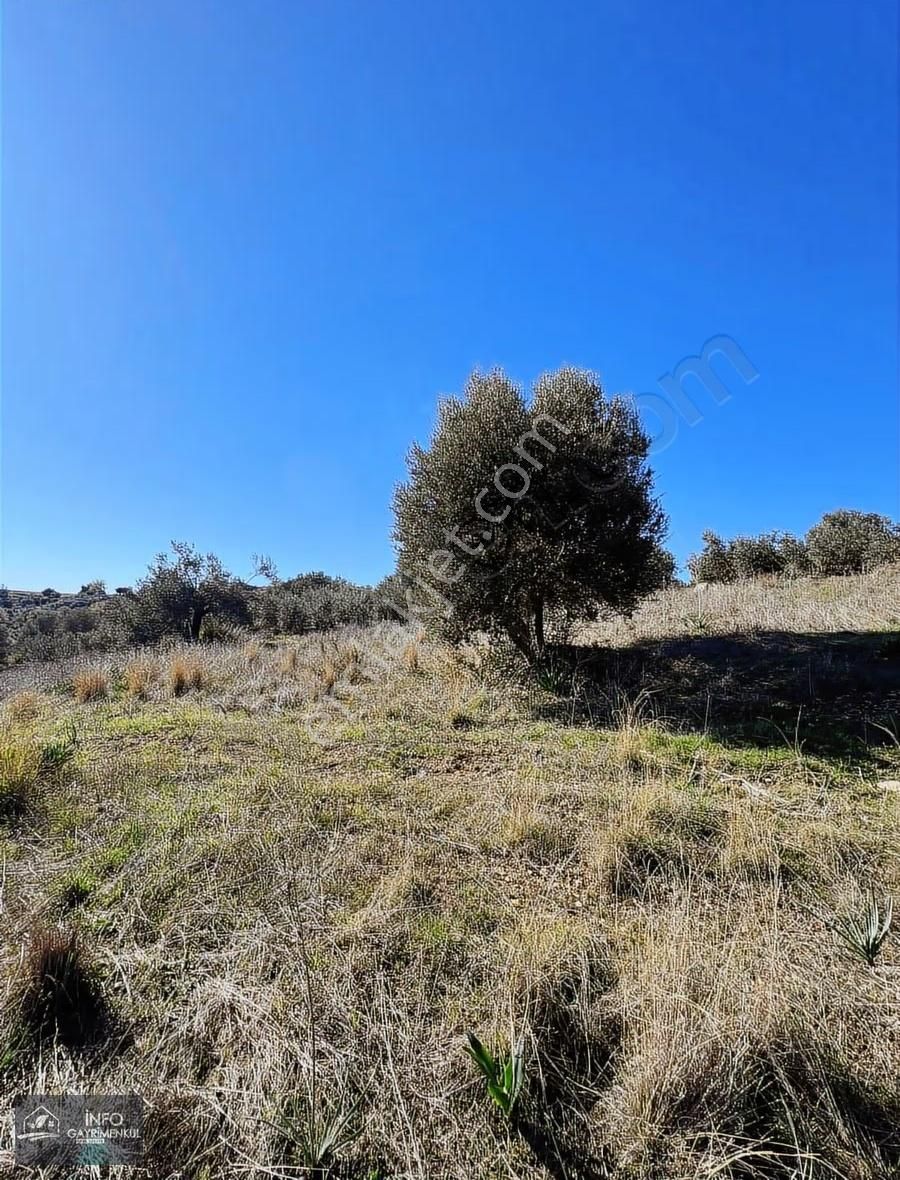 İnfo Gayrimenkul'den Satılık Tarla - Görsel 26