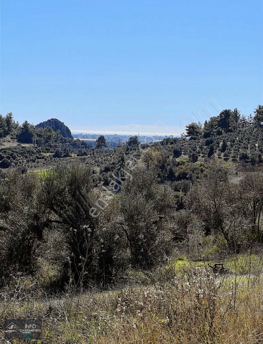 İnfo Gayrimenkul'den Satılık Tarla - Görsel 17