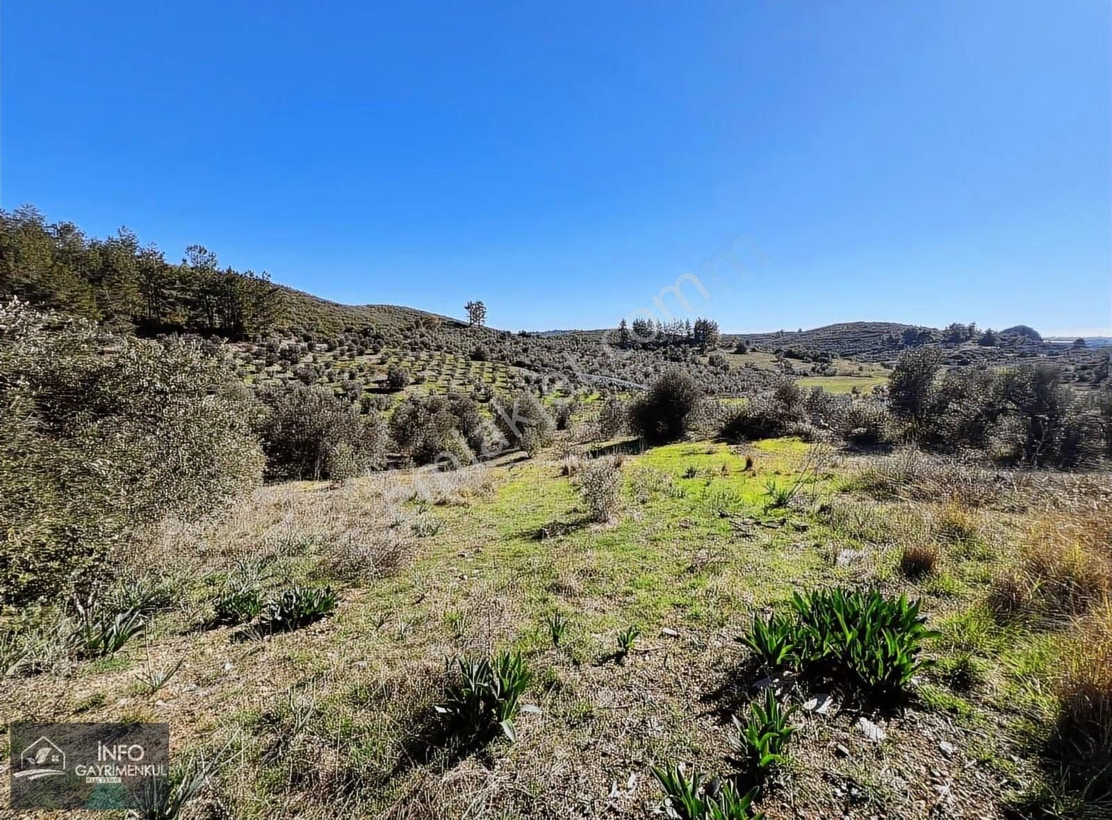 İnfo Gayrimenkul'den Satılık Tarla - Görsel 21