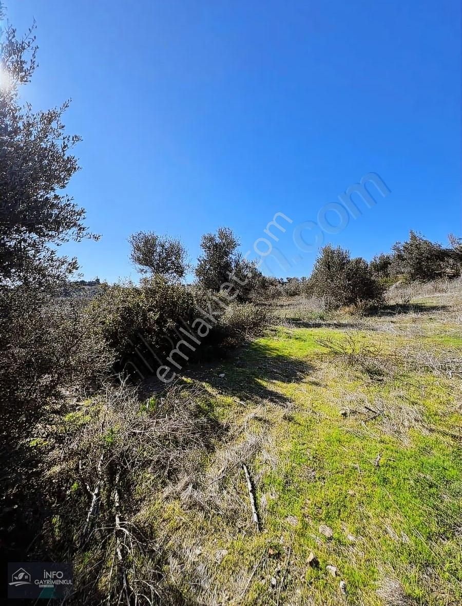 İnfo Gayrimenkul'den Satılık Tarla - Görsel 10