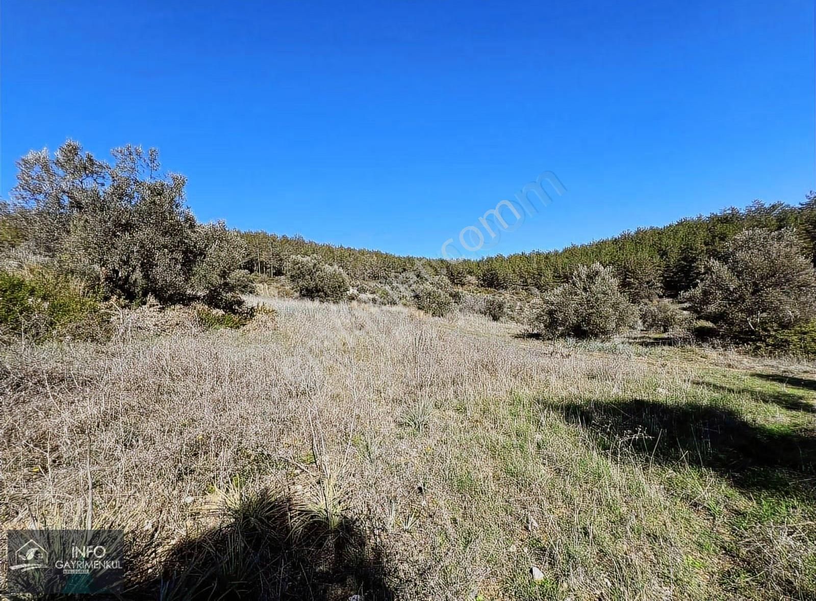 İnfo Gayrimenkul'den Satılık Tarla - Görsel 20