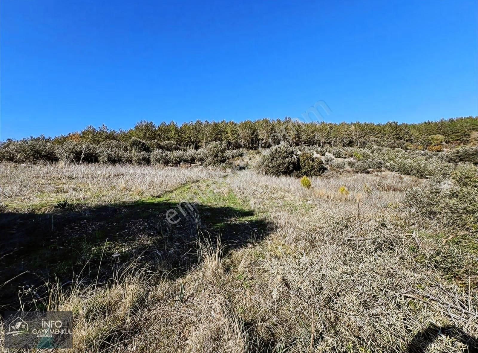 İnfo Gayrimenkul'den Satılık Tarla - Görsel 5
