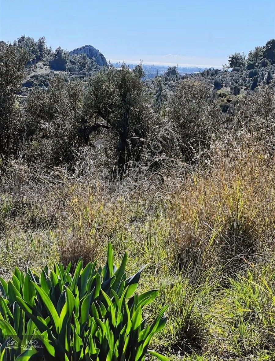 İnfo Gayrimenkul'den Satılık Tarla - Görsel 4