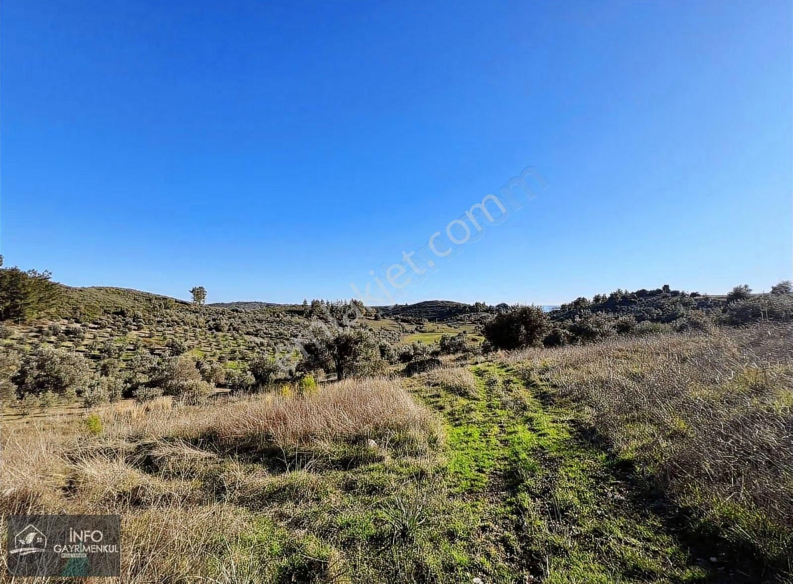 İnfo Gayrimenkul'den Satılık Tarla - Görsel 18