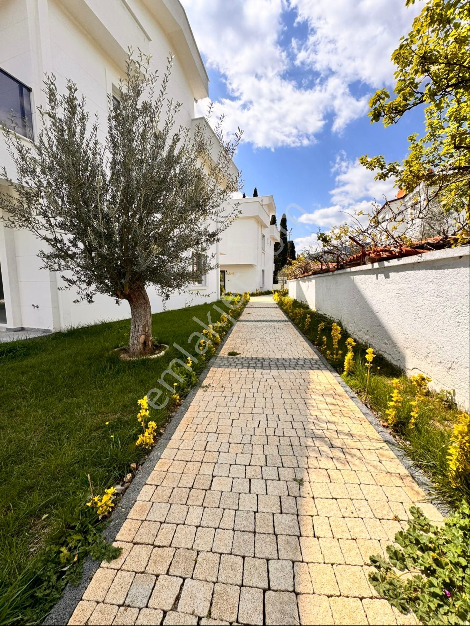 ༺✮•°◤ 𝙔𝘼𝙆𝘼𝙈𝙊𝙕 𝙀𝙈𝙇𝘼𝙆 ◥°•✮༻güre De Yeşillikler Arasında Satılık Müstakil - Görsel 3