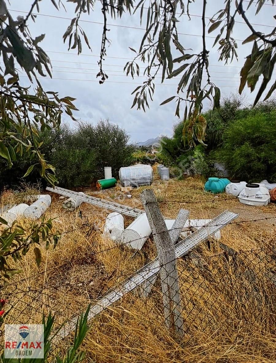 Datça Kiralık Arazi. Sera Ve Showroom İçin Uygun,anayol Cepheli - Görsel 6