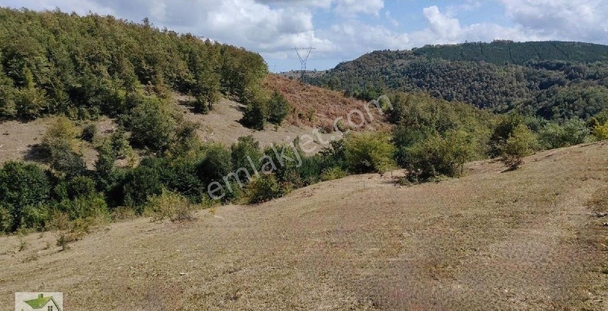 Samsun İlkadım Çanakçı Da Ata Yoluna 200 Metre Cepheli Tarla... - Görsel 16