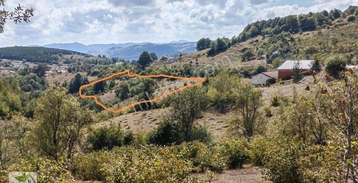 Samsun İlkadım Çanakçı Da Ata Yoluna 200 Metre Cepheli Tarla... - Görsel 4