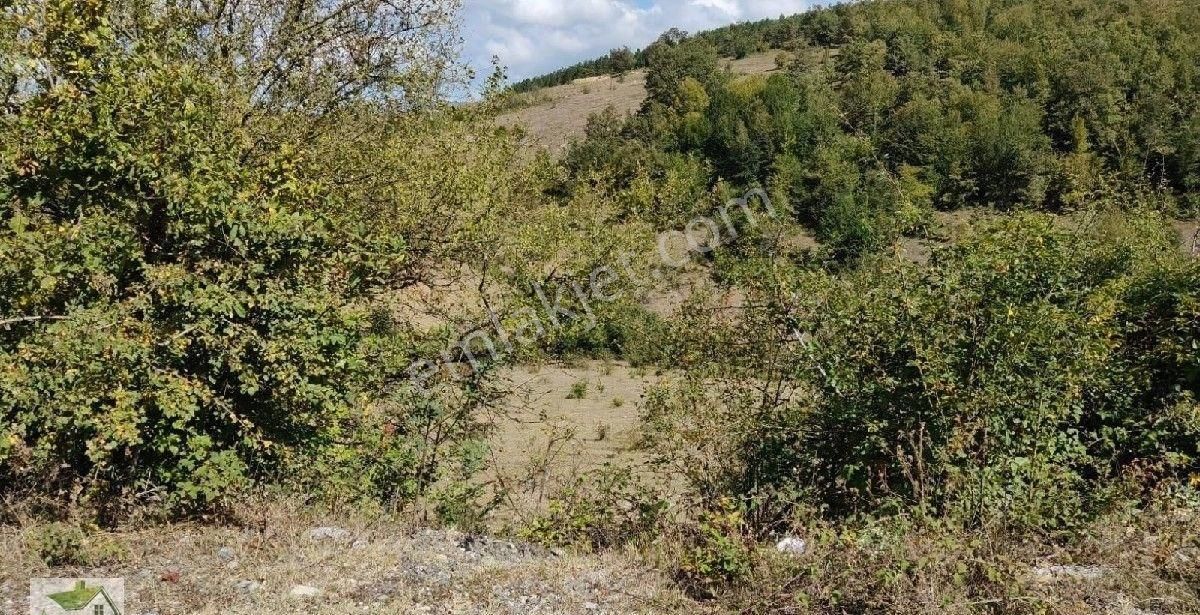 Samsun İlkadım Çanakçı Da Ata Yoluna 200 Metre Cepheli Tarla... - Görsel 10