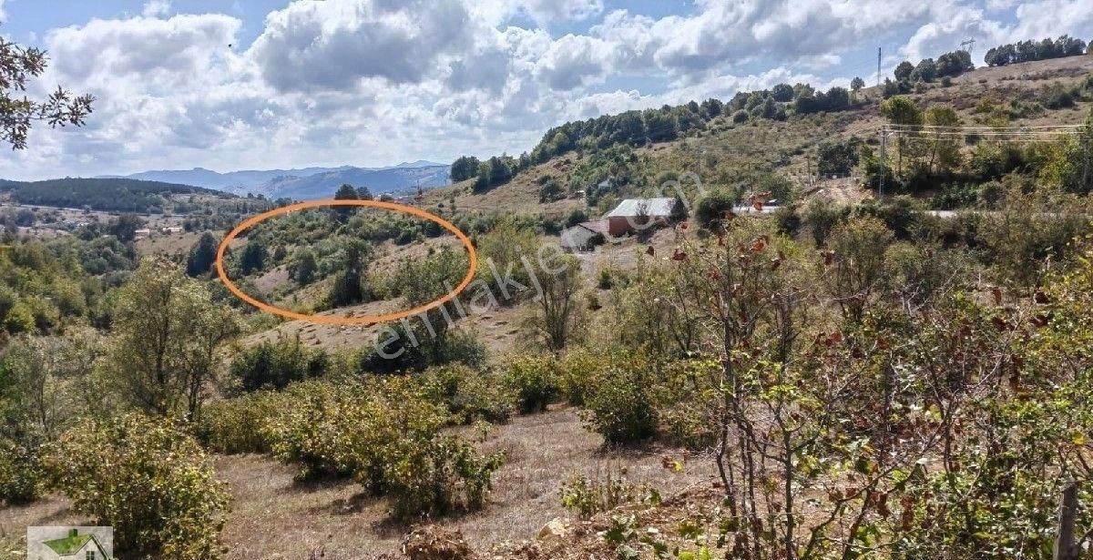 Samsun İlkadım Çanakçı Da Ata Yoluna 200 Metre Cepheli Tarla... - Görsel 12