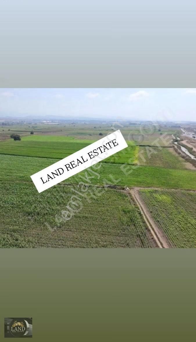 Yola Cephe 7,5 Dönüm Tarla - Görsel 4