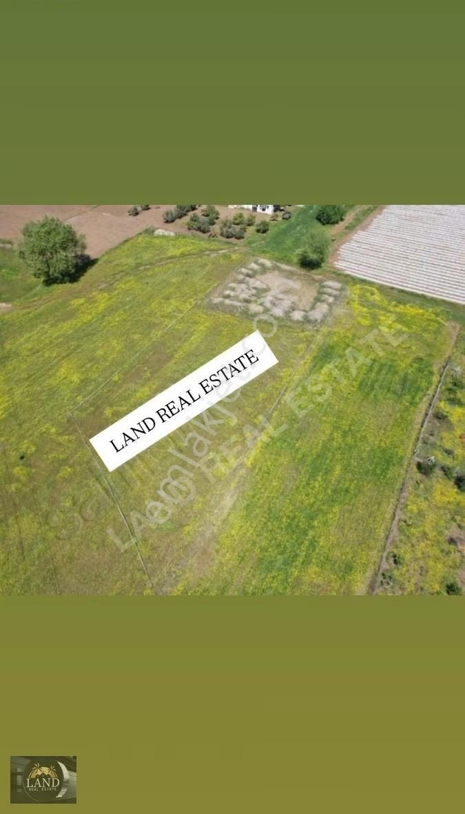 Yola Cephe 7,5 Dönüm Tarla