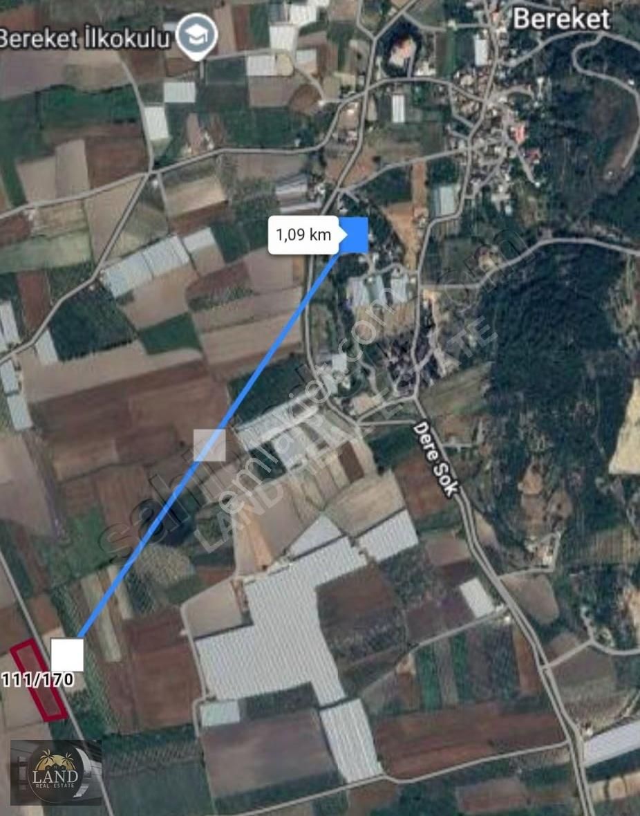 Yola Cephe 7,5 Dönüm Tarla - Görsel 3