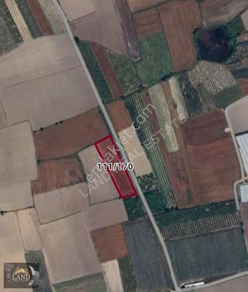 Yola Cephe 7,5 Dönüm Tarla - Görsel 2