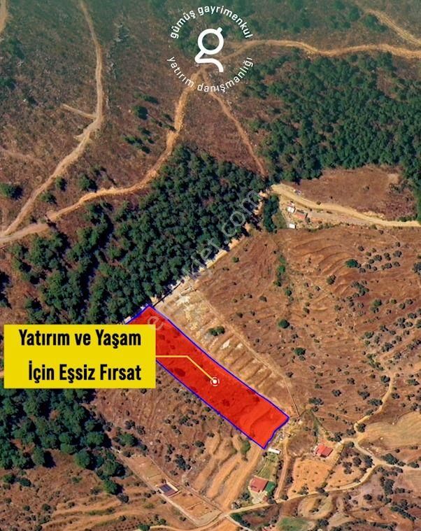 Bodrum Gökpınar Da 6420 M2 Köy İmarlı Tarla - Görsel 3