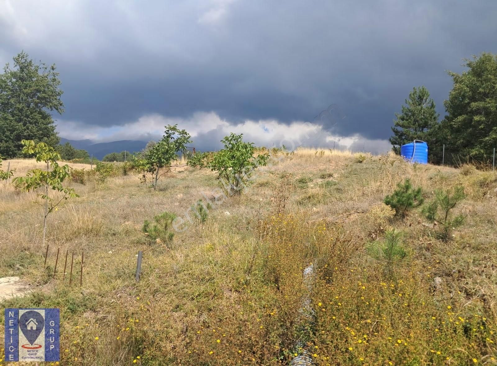 Osmangazi Küçükdeliller De Ceviz Bahçesi (6.363 M2) - Görsel 9