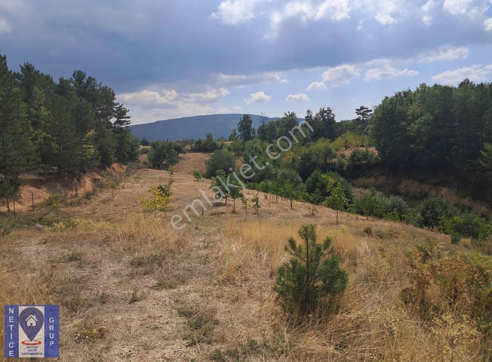 Osmangazi Küçükdeliller De Ceviz Bahçesi (6.363 M2) - Görsel 11