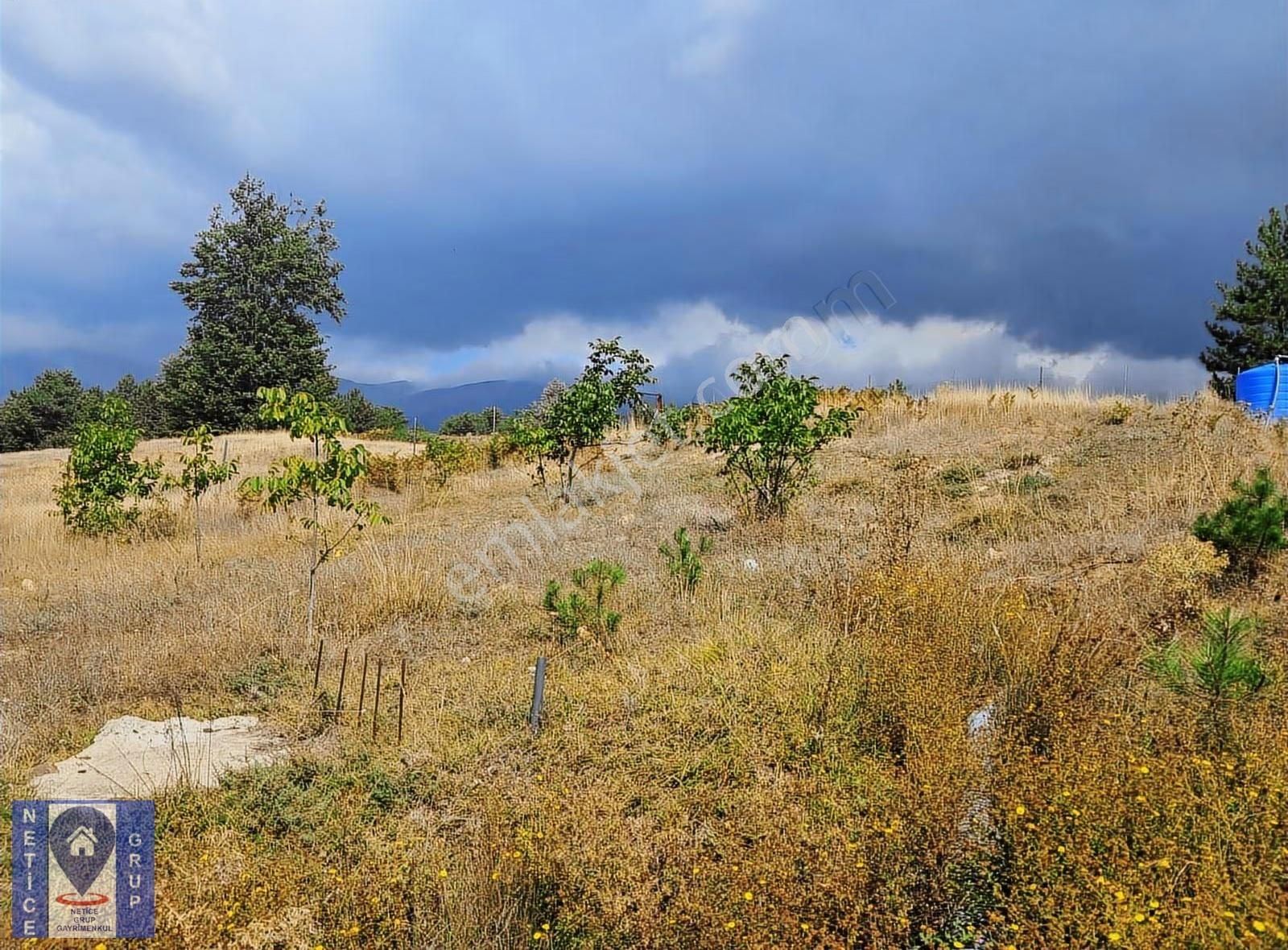 Osmangazi Küçükdeliller De Ceviz Bahçesi (6.363 M2) - Görsel 5