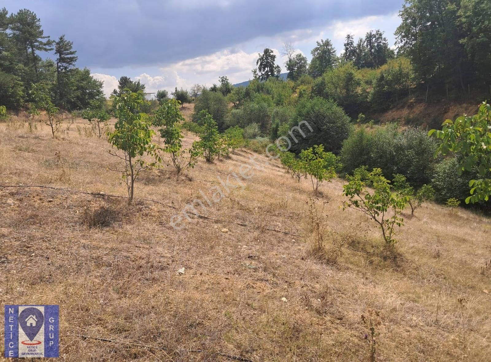 Osmangazi Küçükdeliller De Ceviz Bahçesi (6.363 M2) - Görsel 6