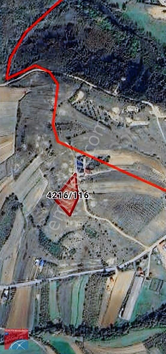 Şile Geredeli Köyünde 3.016 M Güzel Konumlu Kadostral Yola Cephe