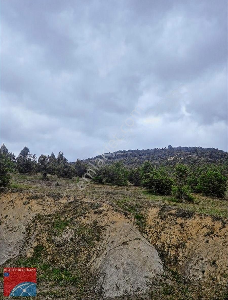 Şile Bucaklı Köyü 2355m Açık Ferah Tatlı Meyilli Güzel Konumlu - Görsel 20
