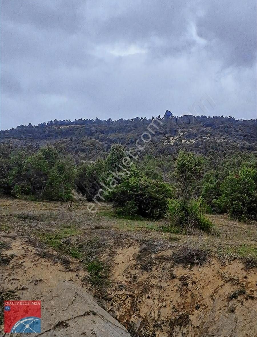 Şile Bucaklı Köyü 2355m Açık Ferah Tatlı Meyilli Güzel Konumlu - Görsel 18