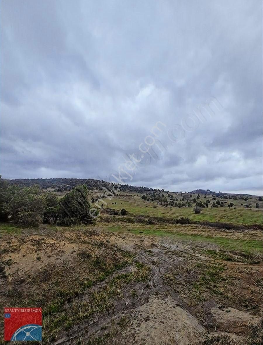 Şile Bucaklı Köyü 2355m Açık Ferah Tatlı Meyilli Güzel Konumlu - Görsel 22