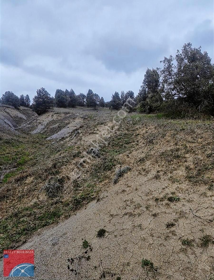 Şile Bucaklı Köyü 2355m Açık Ferah Tatlı Meyilli Güzel Konumlu - Görsel 21