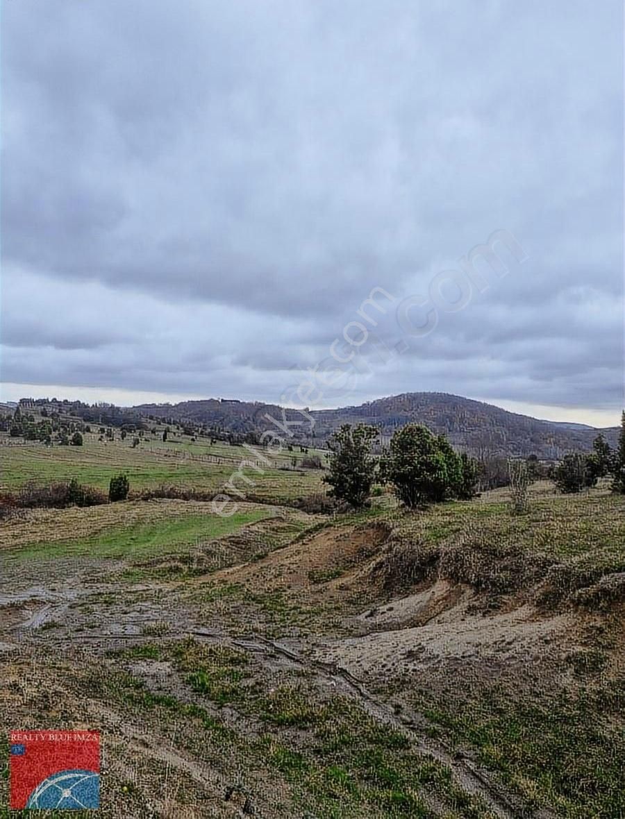 Şile Bucaklı Köyü 2355m Açık Ferah Tatlı Meyilli Güzel Konumlu - Görsel 8