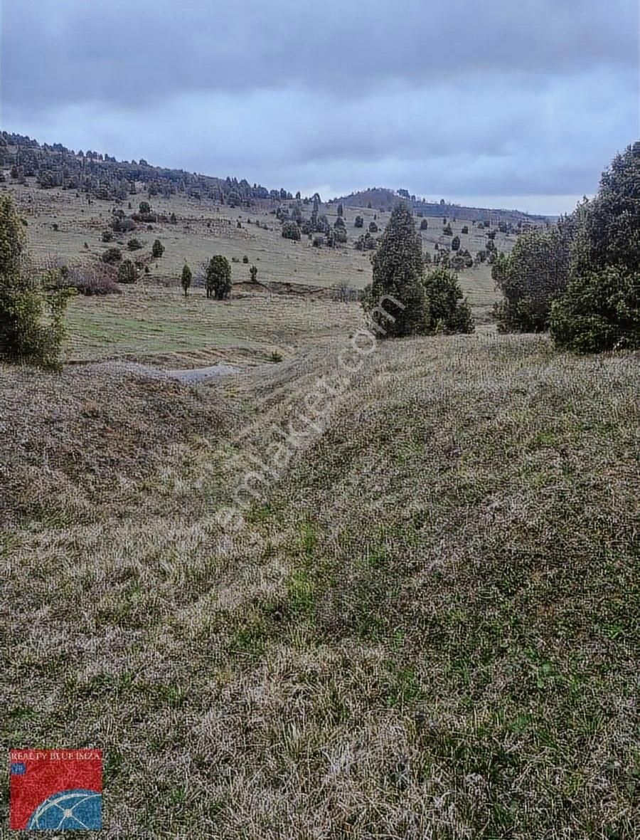Şile Bucaklı Köyü 2355m Açık Ferah Tatlı Meyilli Güzel Konumlu - Görsel 16
