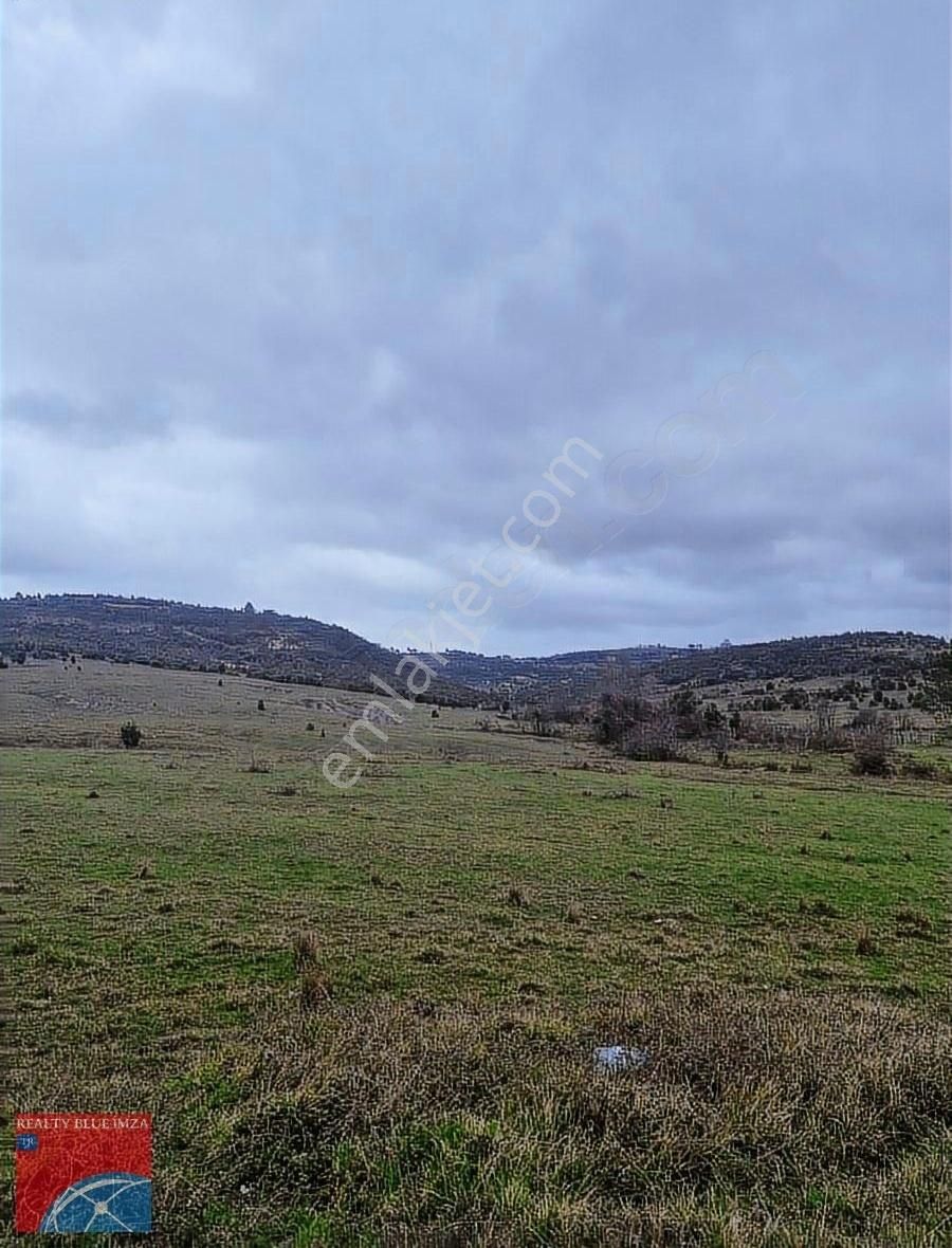 Şile Bucaklı Köyü 2355m Açık Ferah Tatlı Meyilli Güzel Konumlu - Görsel 10