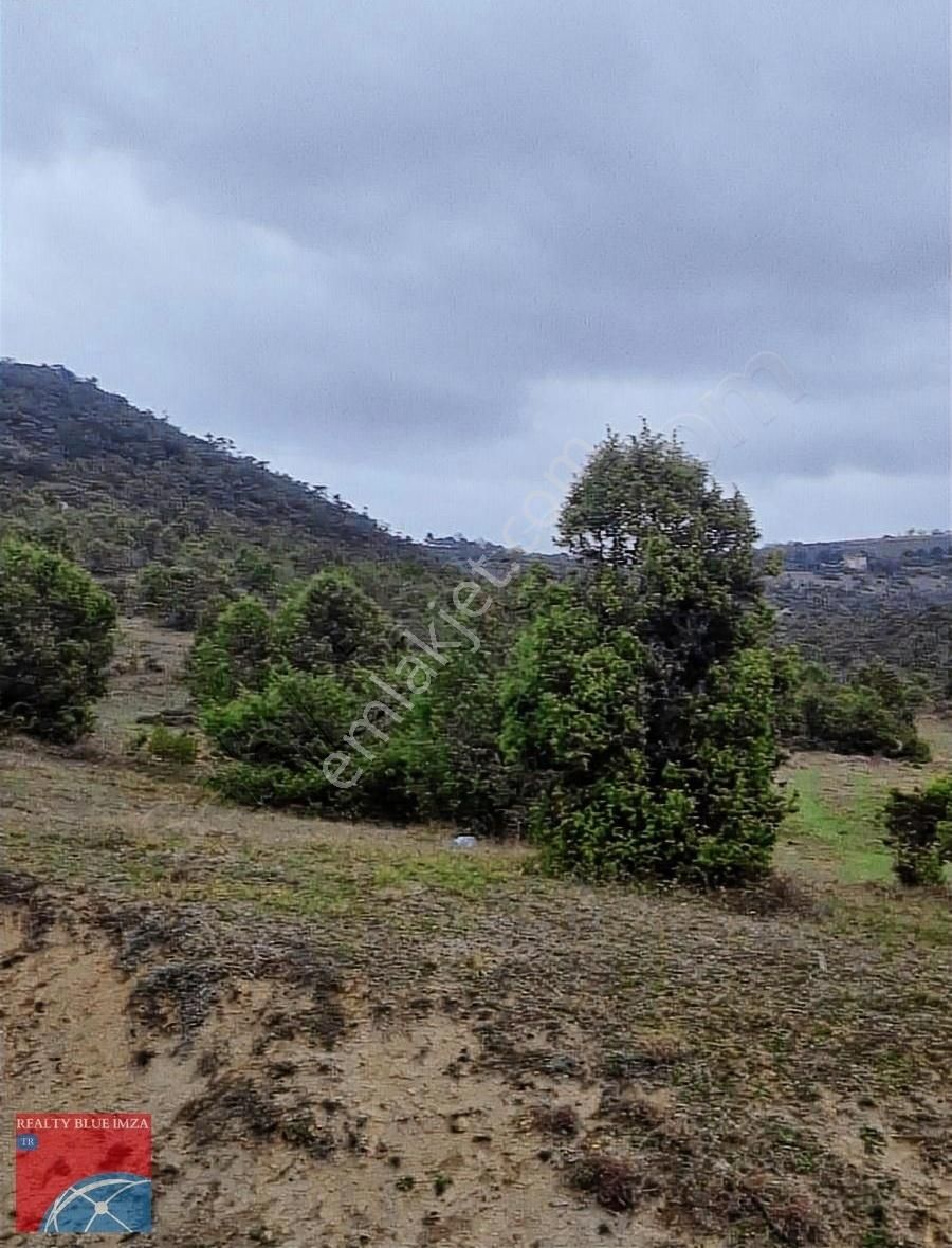 Şile Bucaklı Köyü 2355m Açık Ferah Tatlı Meyilli Güzel Konumlu - Görsel 23