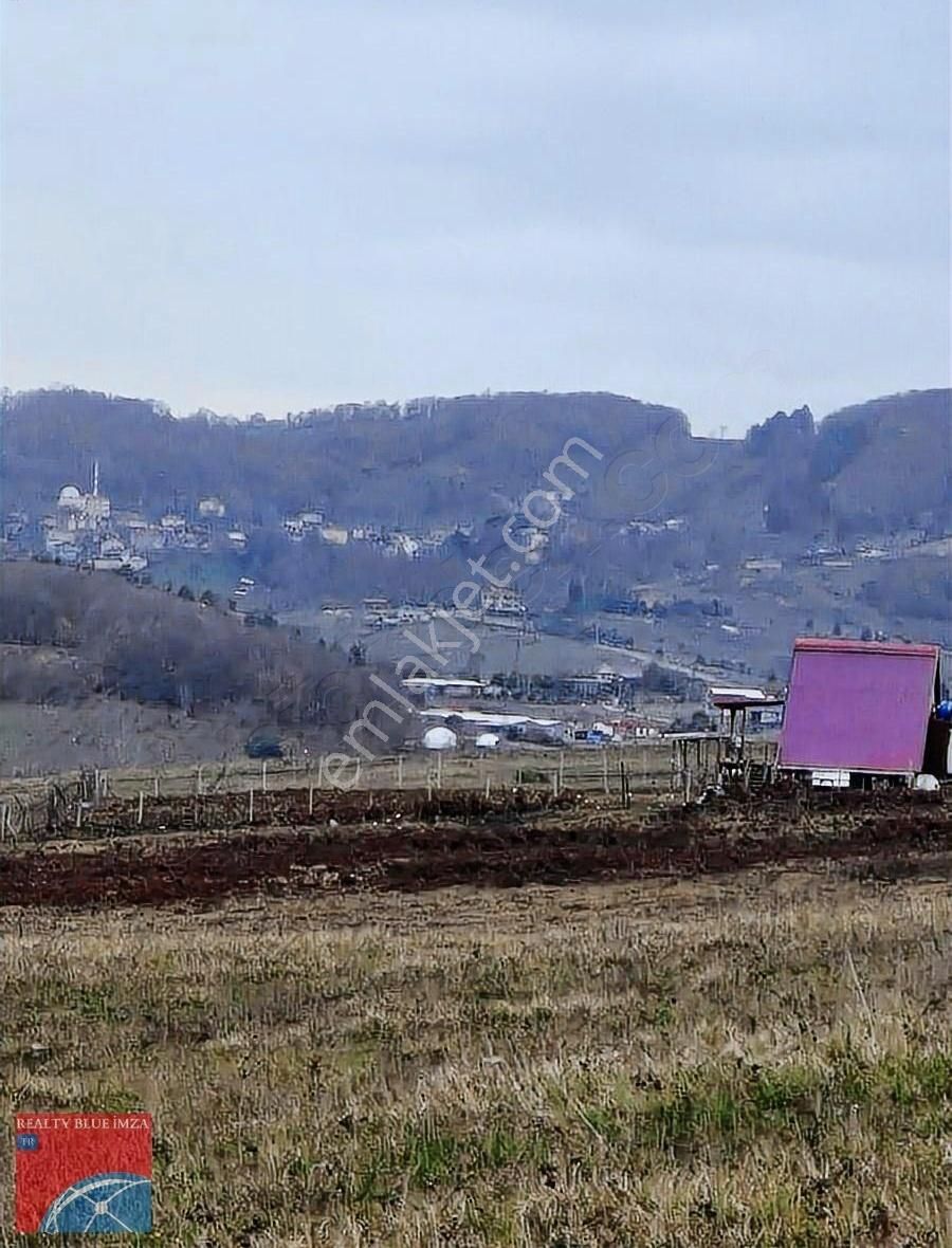 Şile Bucaklı Köyü 2355m Açık Ferah Tatlı Meyilli Güzel Konumlu - Görsel 11