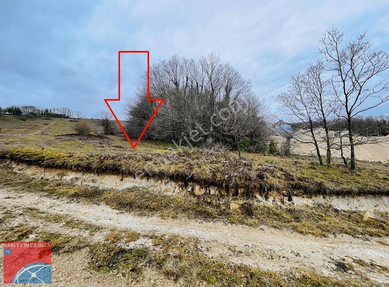 Kandıra Nasuhlar Da 1004 M2 Satılık Tarla - Görsel 2