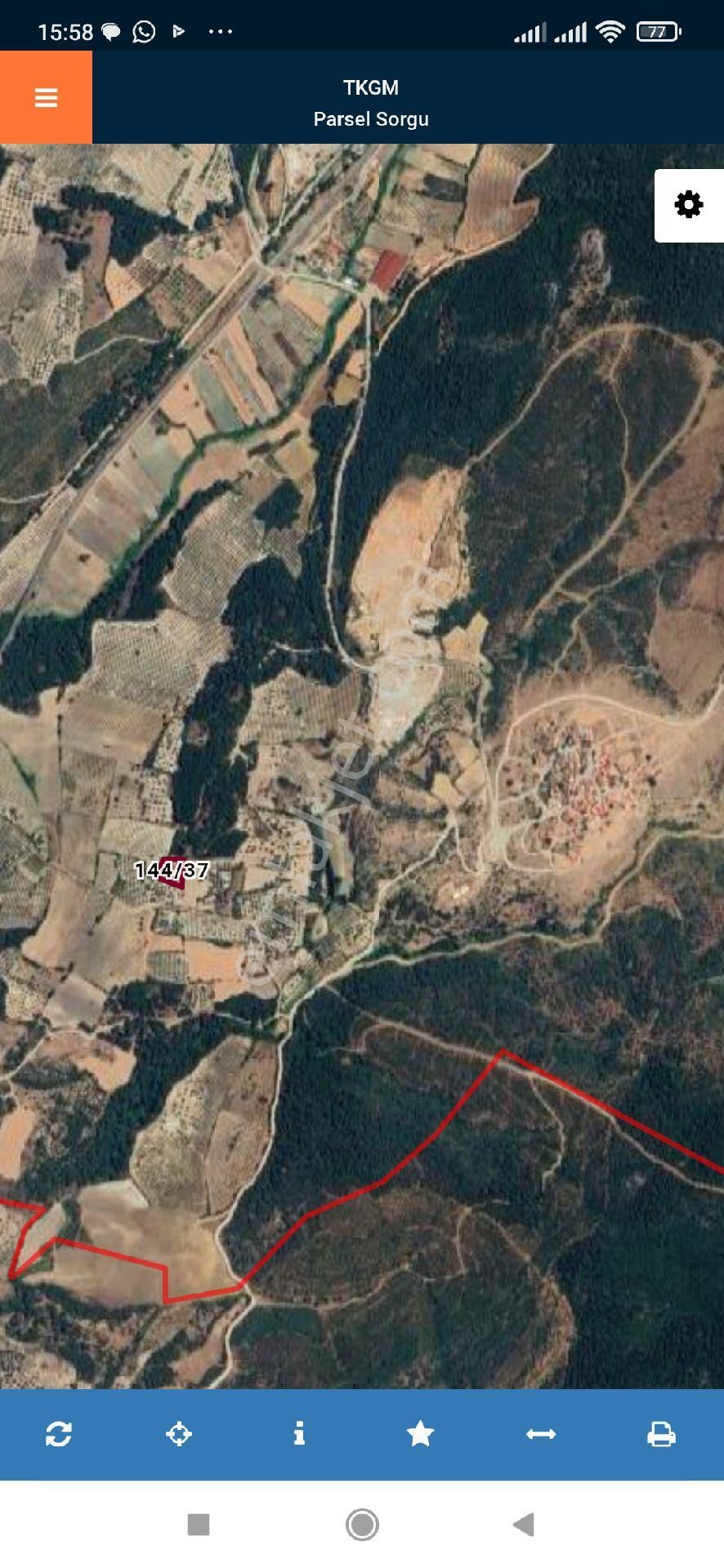 Anadolu'dan Heciz Mevkii Satılık Zeytinlik - Görsel 3