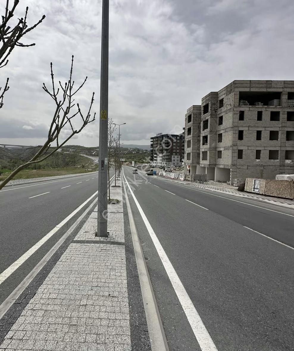 Talasta 2.5+1 Kombili - Görsel 17