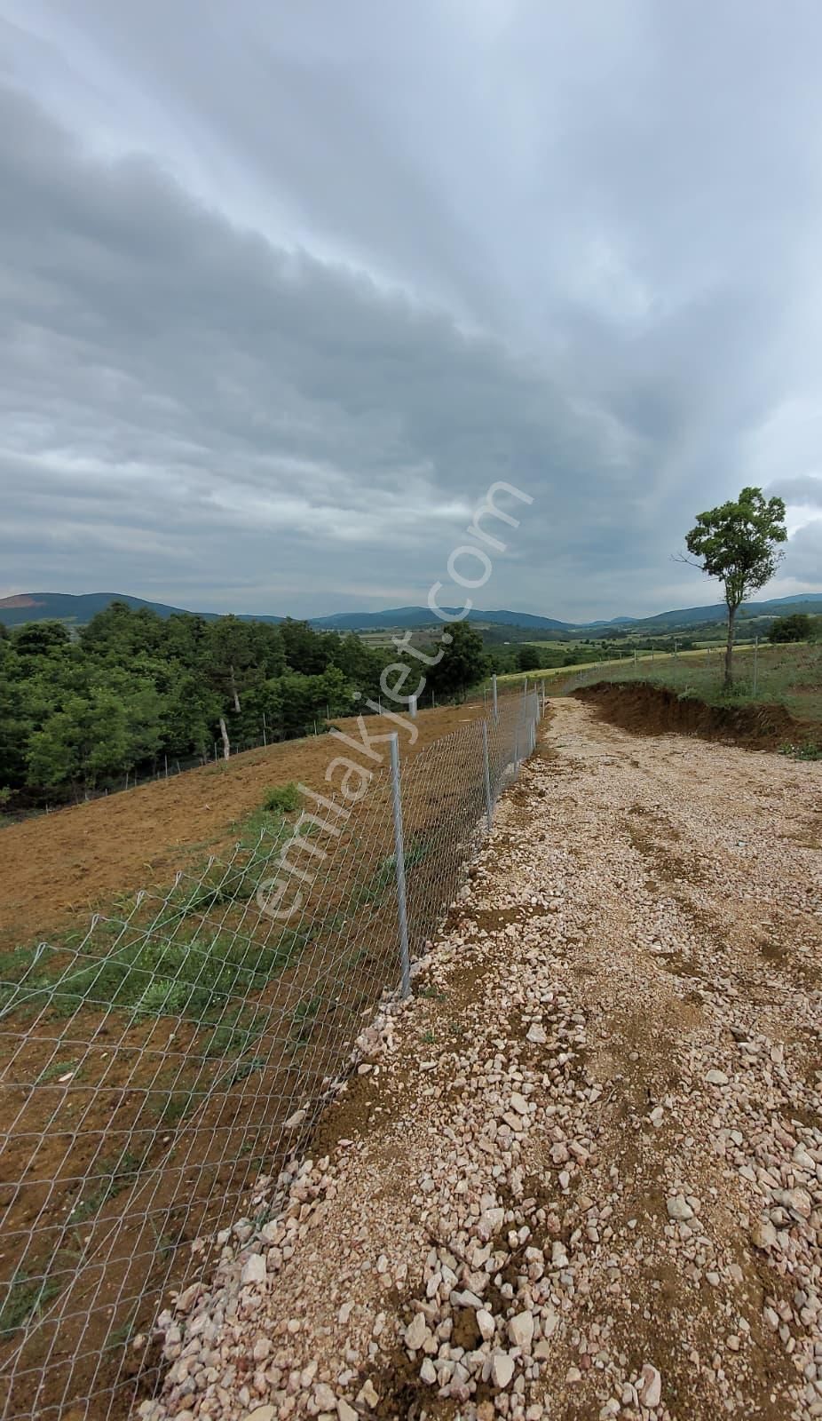 Bursa Kılıç Tan Yenişehir Selimiye De 1000m2 Satılık Tarla - Görsel 11