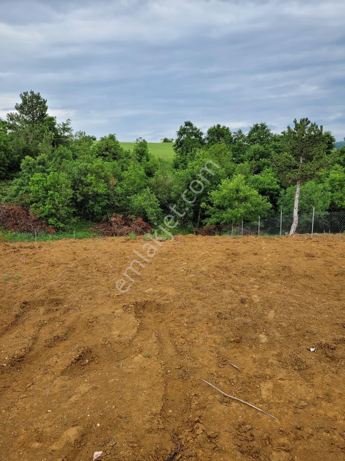 Bursa Kılıç Tan Yenişehir Selimiye De 1000m2 Satılık Tarla - Görsel 15