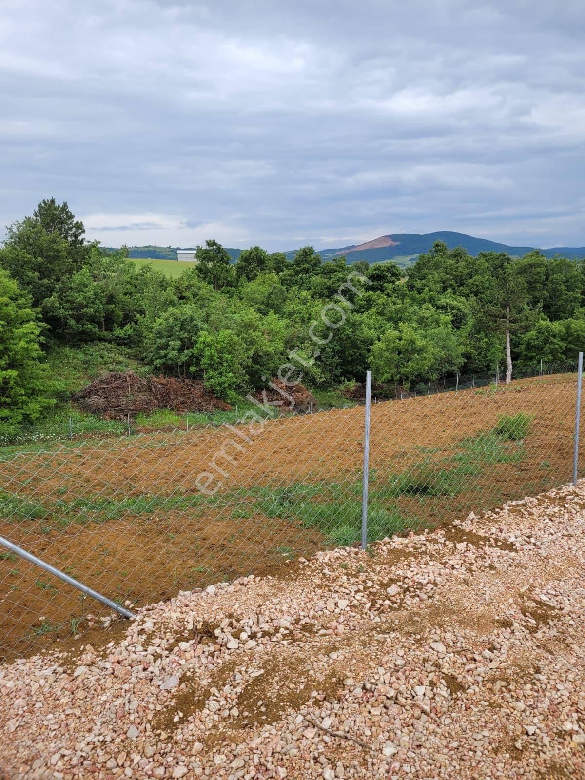 Bursa Kılıç Tan Yenişehir Selimiye De 1000m2 Satılık Tarla - Görsel 14