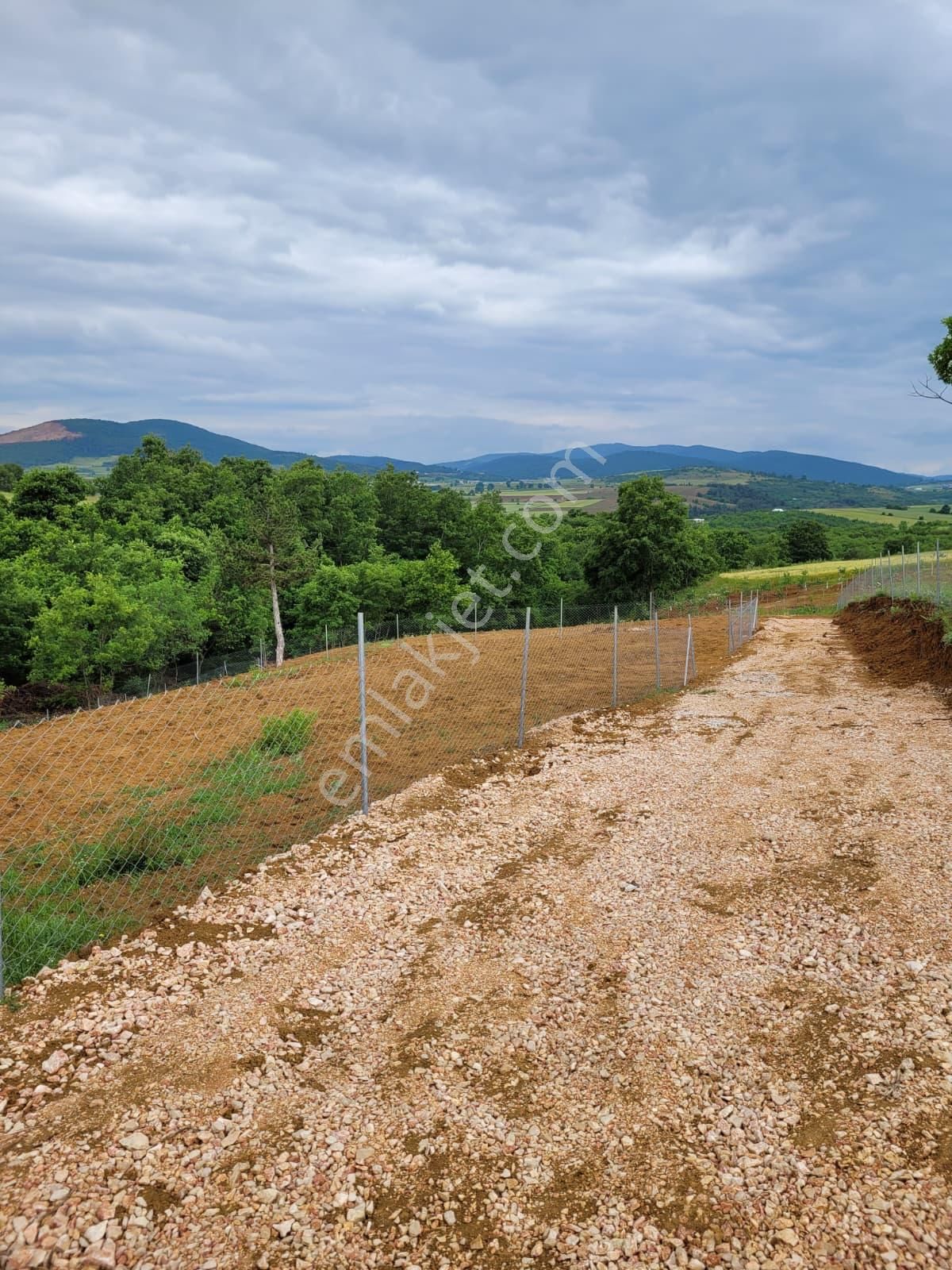 Bursa Kılıç Tan Yenişehir Selimiye De 1000m2 Satılık Tarla - Görsel 9