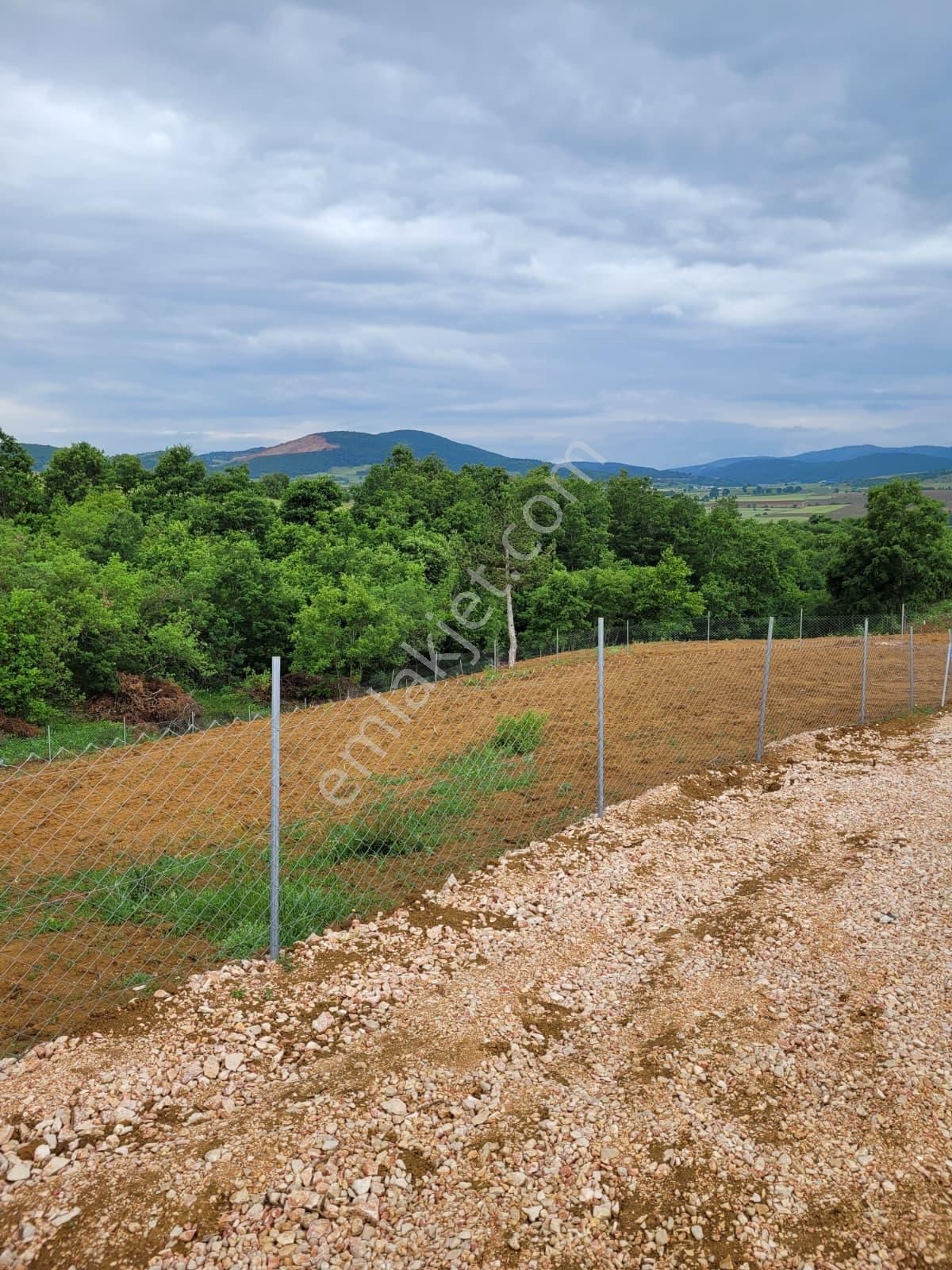 Bursa Kılıç Tan Yenişehir Selimiye De 1000m2 Satılık Tarla - Görsel 10