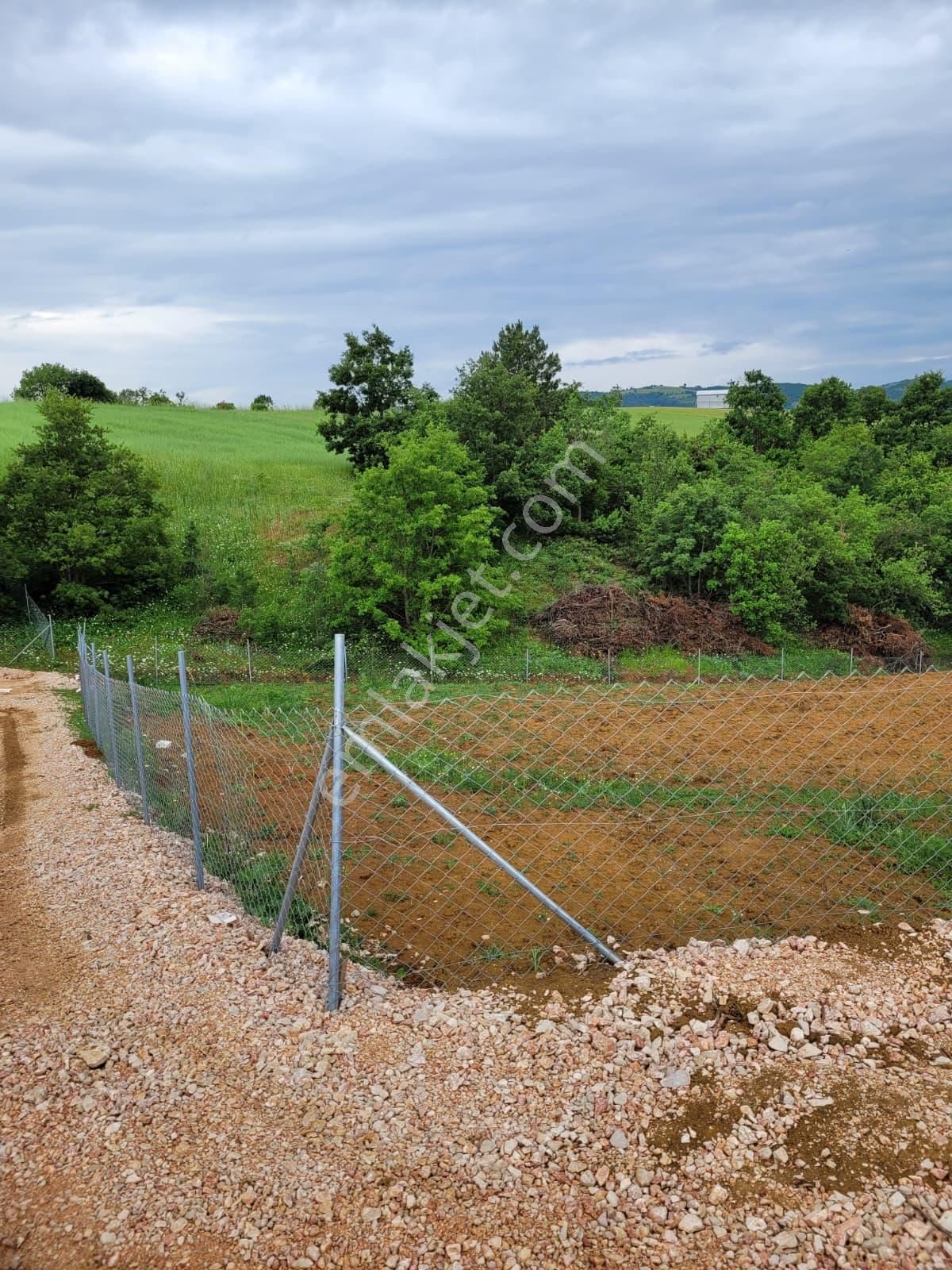Bursa Kılıç Tan Yenişehir Selimiye De 1000m2 Satılık Tarla - Görsel 12