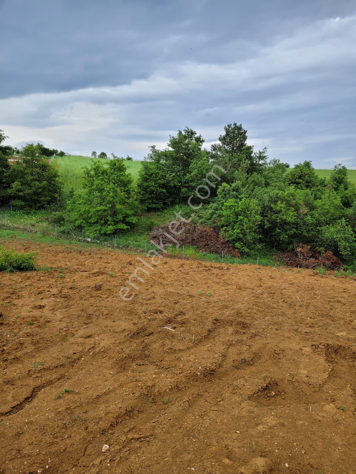 Bursa Kılıç Tan Yenişehir Selimiye De 1000m2 Satılık Tarla - Görsel 18