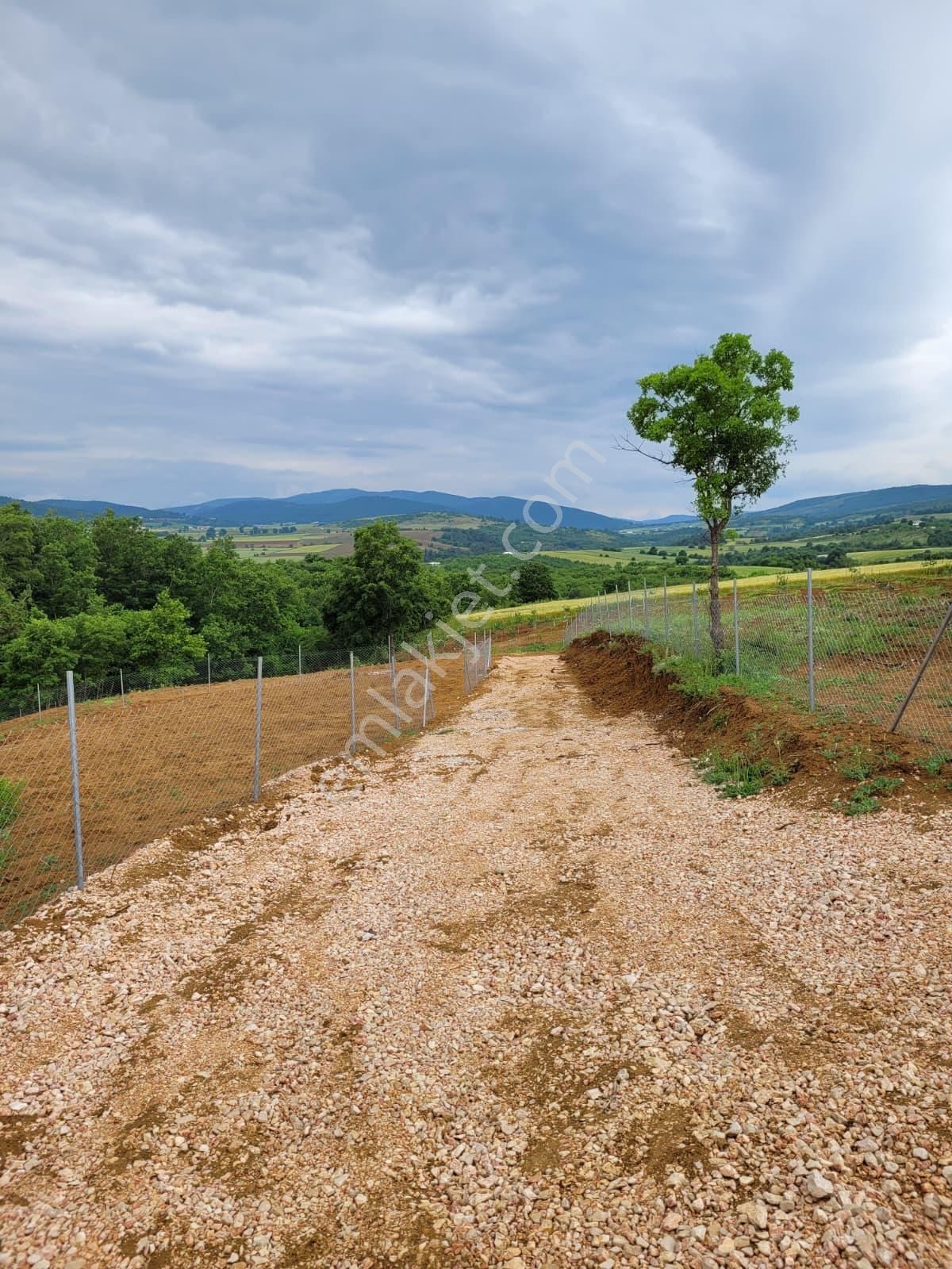 Bursa Kılıç Tan Yenişehir Selimiye De 1000m2 Satılık Tarla - Görsel 8